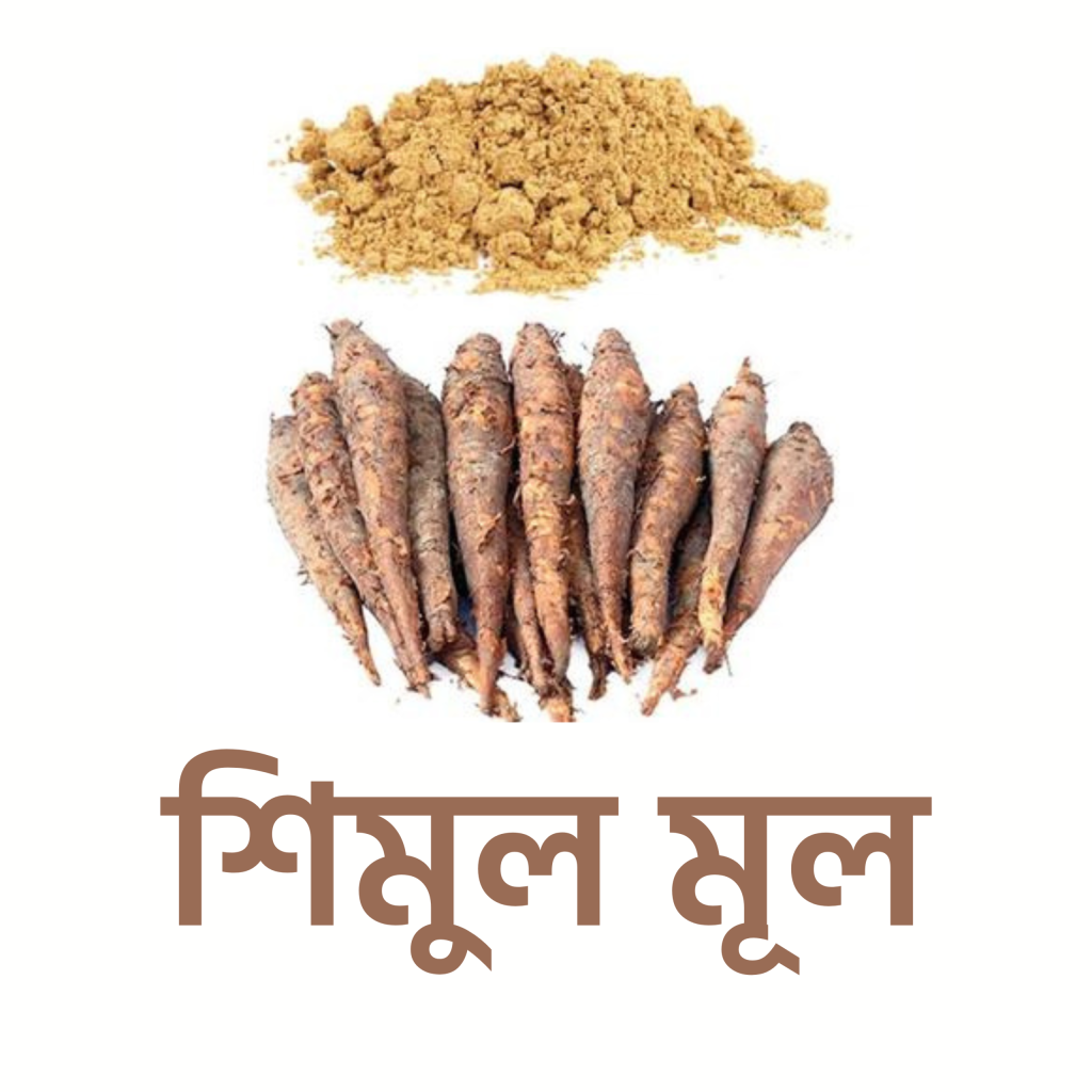 শিমুল মূল