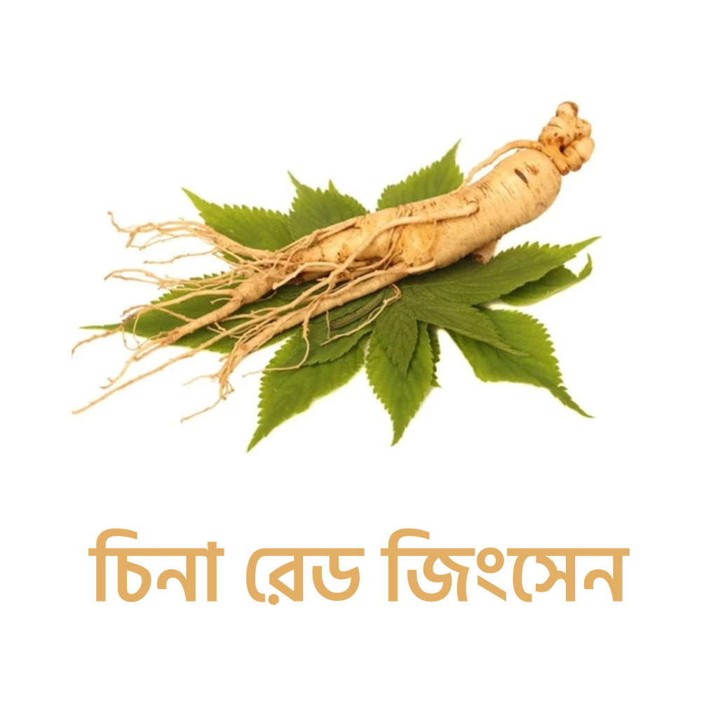 চিনা রেড জিনসেং