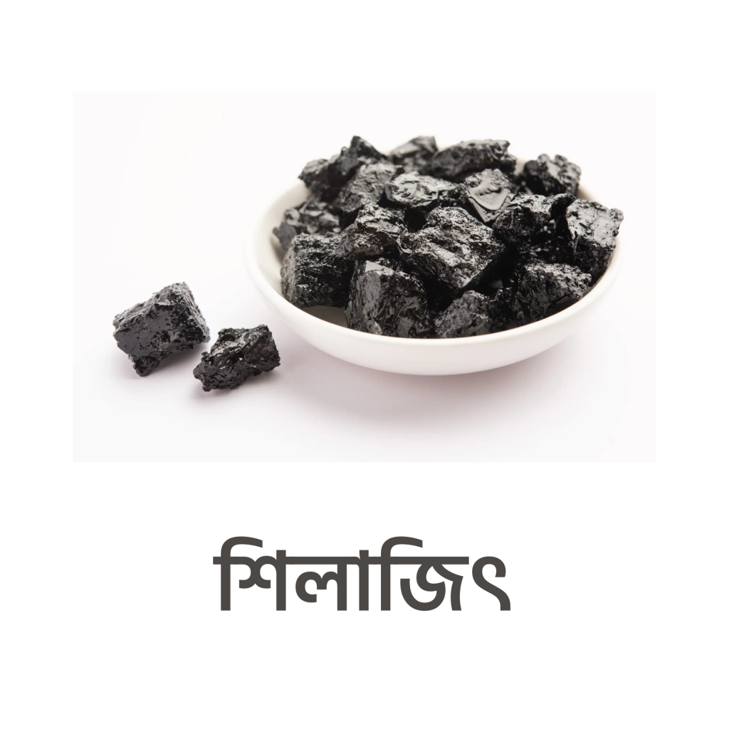 শিলাজিৎ